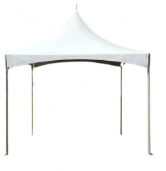 Marquee Canopy Tent 10x10