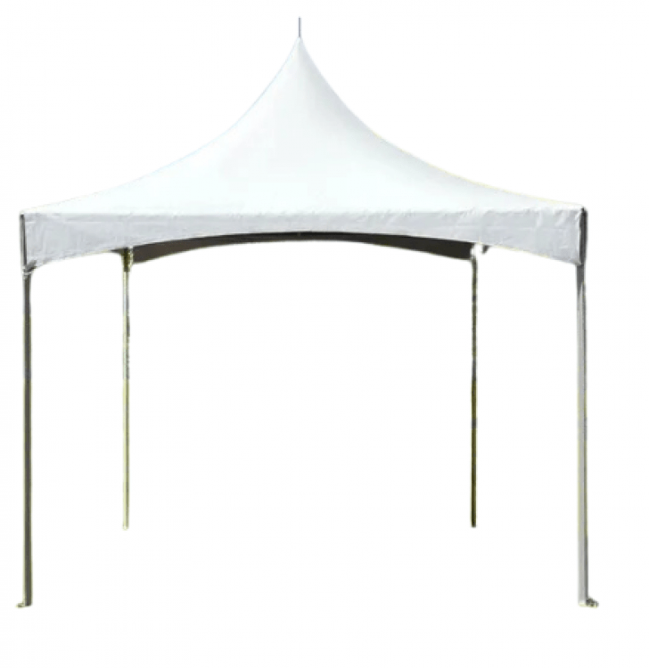 Marquee Canopy Tent 10x10