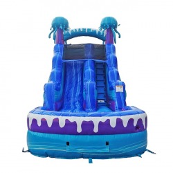 15ft20Jelly20C 268204397 15ft Jelly Water Slide