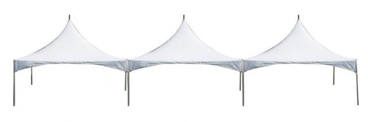 Marquee Canopy Tent 20x60