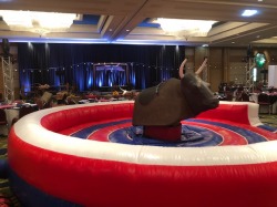 Mechanical Bull