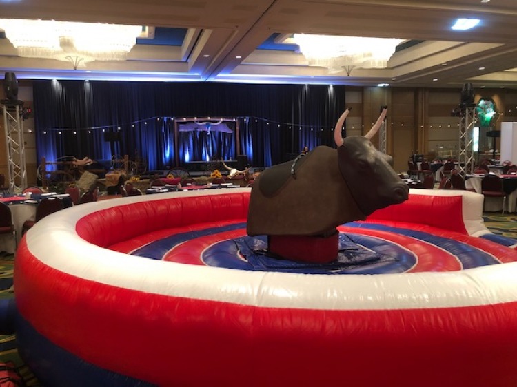 Mechanical Bull