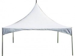 Marquee Canopy Tent 20x20